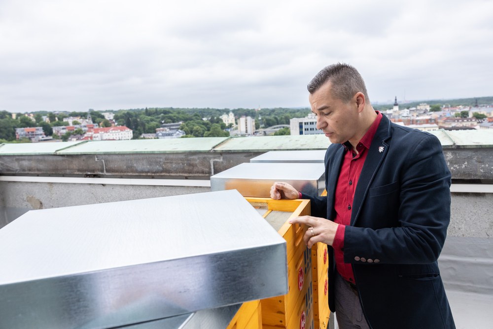 Na instalaci dohlížel také náměstek primátora Aleš Boháč