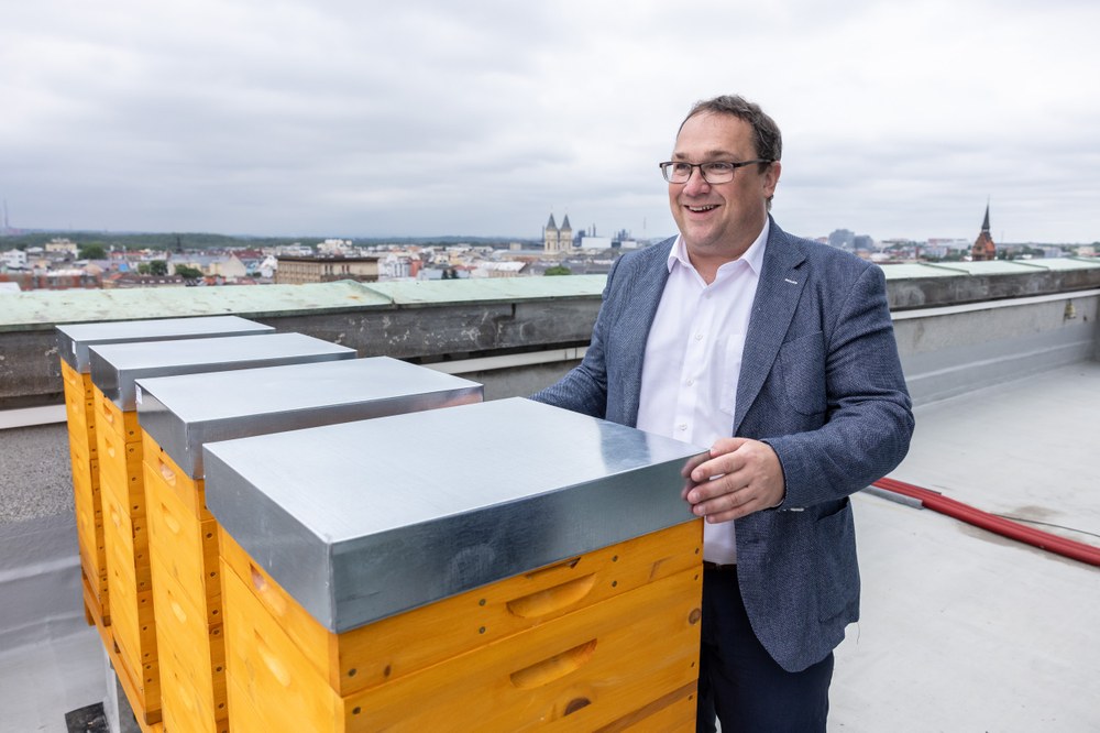 Včely na Nové radnici potěšily taktéž ostravského primátora Jana Dohnala