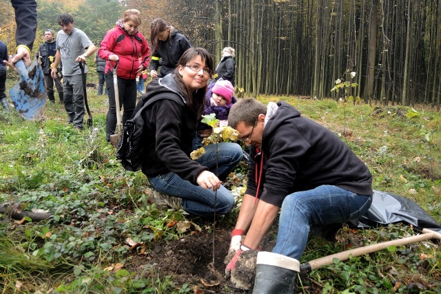 Sázení stromků v Bělském lese. FOTO: J. Urban.