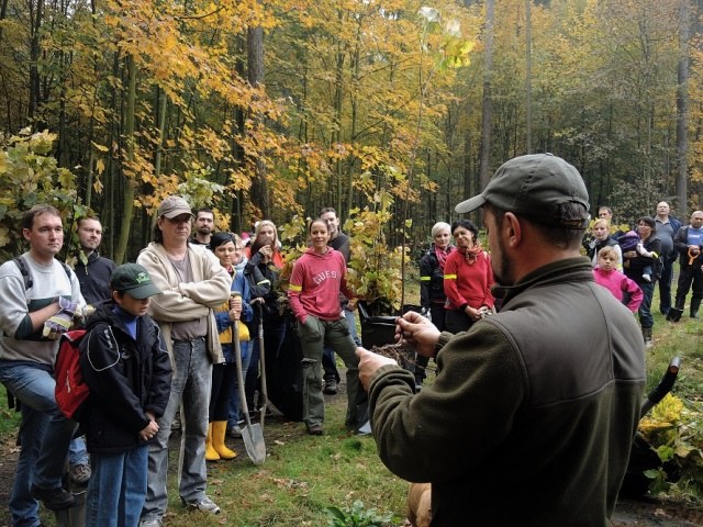Instrukce před samotnou výsadbou.