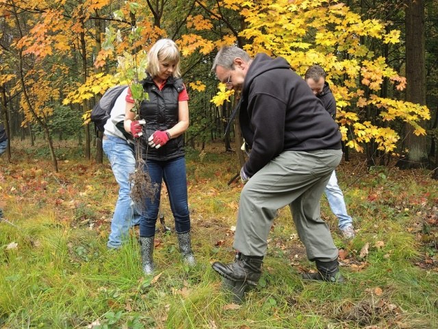 Náměstkyně primátora Simona Piperková a ředitel MNO Tomáš Nykel při výsadbě nových stromků.