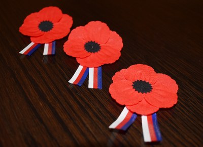 Květy vlčích máků jsou symbolem Dne veteránů. Foto: René Stejskal