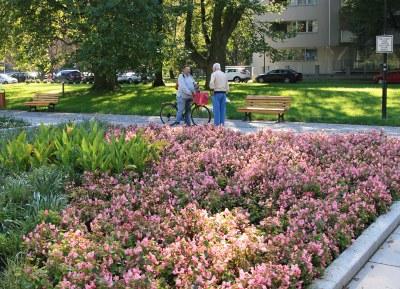 O tom, v jakém prostředí budeme žít, si můžeme rozhodnout sami. Ilustrační foto: B. Krzyžanek