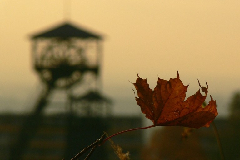 Oceněná fotografie Tomáše Janů
