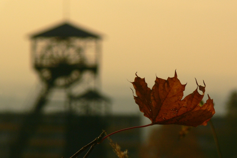 Oceněná fotografie Tomáše Janů