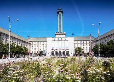 Ilustrační foto: MMO