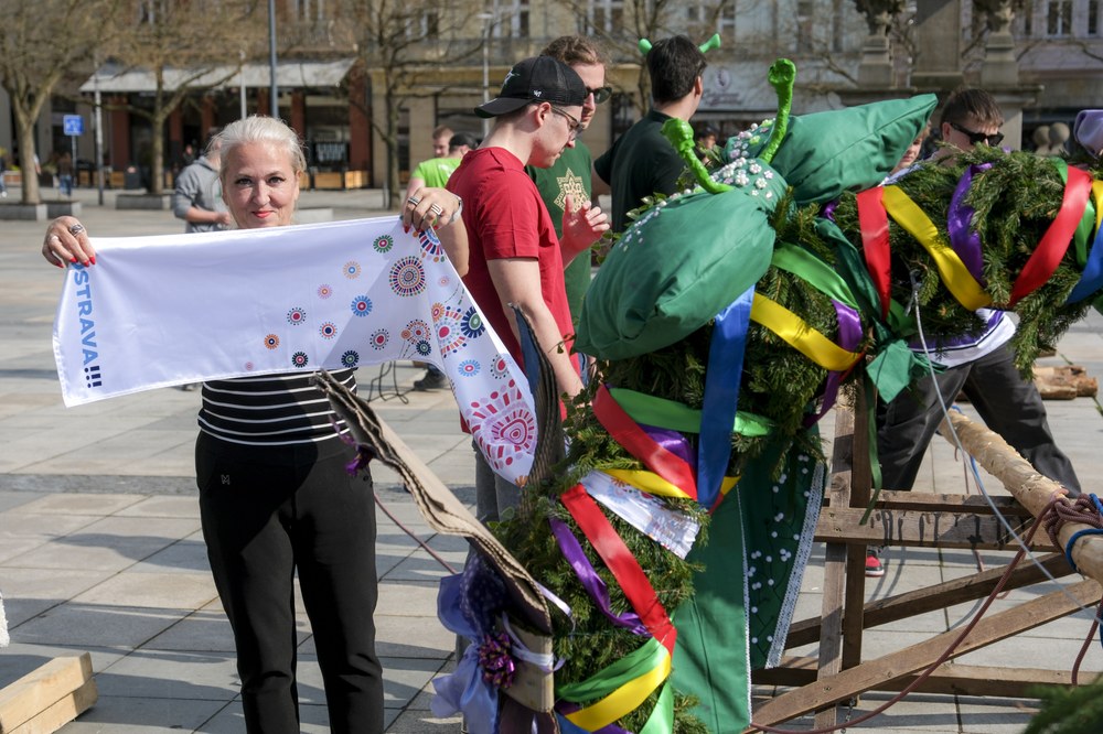 Ryze ostravskou mašli na májku přivázala náměstkyně primátora Dagmar Macháčková