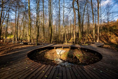 Povalové chodníky v Bělském lese. Foto: MMO/Lukáš Kaboň