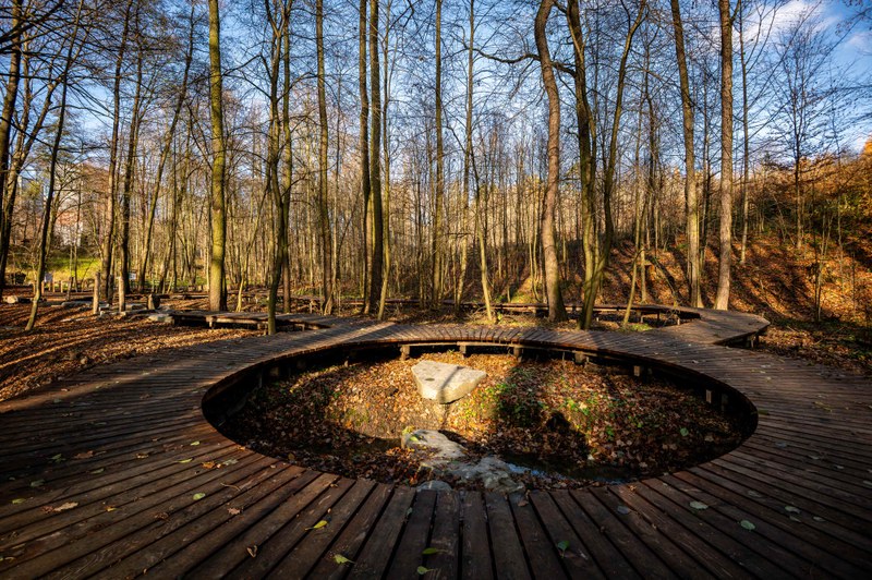 Povalové chodníky v Bělském lese. Foto: MMO/Lukáš Kaboň