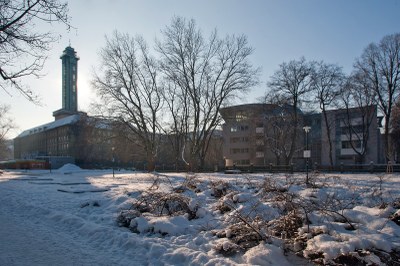 Ilustrační foto. Zdroj MMO.