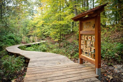 Park po svém dokončení naváže na stávající Cestu vody. Foto: Lukáš Kaboň
