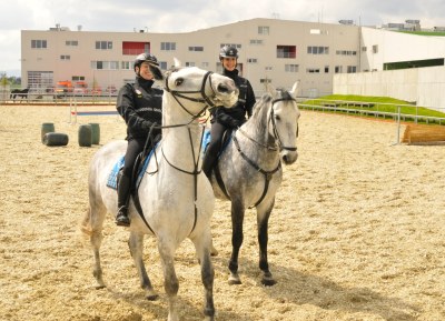 Městská policie Ostrava našla v objektu zázemí pro chov a výcvik služebních koní a psů. Foto: J. Urban