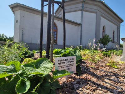 Projekt Zelená pro Ostravu u kostela v Polance. Foto: OZO Ostrava