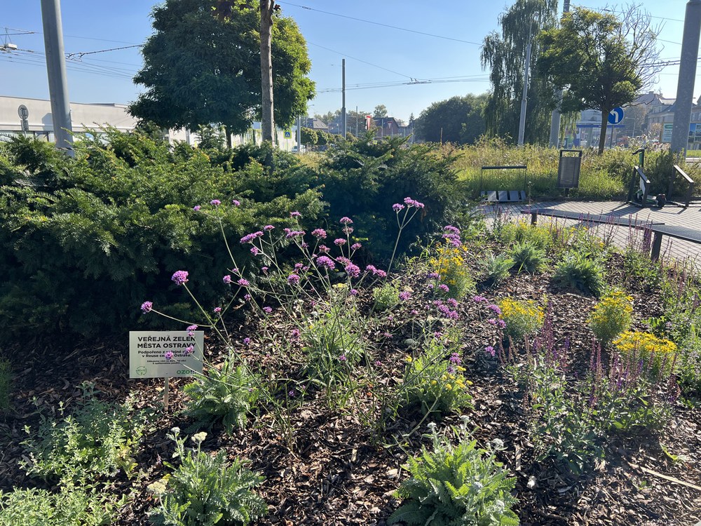 Zelená pro Ostravu přináší takovéto výsledky. Foto OZO Ostrava