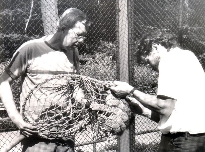 Zemřel bývalý ředitel ostravské zoo Josef Stehlík. Zoologickou zahradu úspěšně provedl transformací