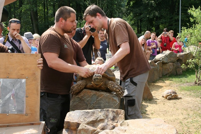 Zoo má expozici pro želvy ostruhaté Zoo má expozici pro želvy ostruhaté