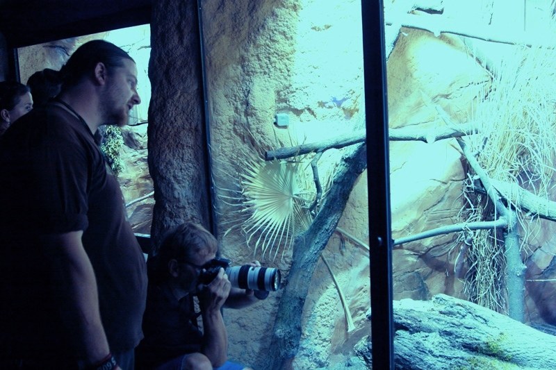 Zvířata lze pozorovat v „měsíčním“ světle.