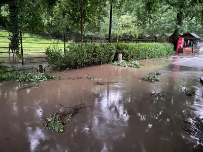 Bouřka napáchala v ostravské zoo takovouto spoušť. Foto: Veronika Máchová