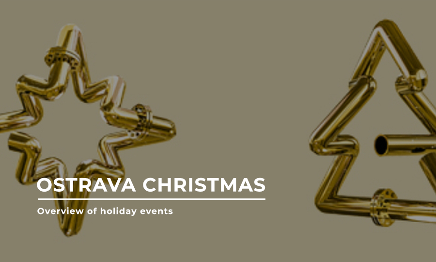 trvalka-sm_vanoce-24