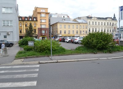 The land being offered to an investor. Photograph: René Stejskal 