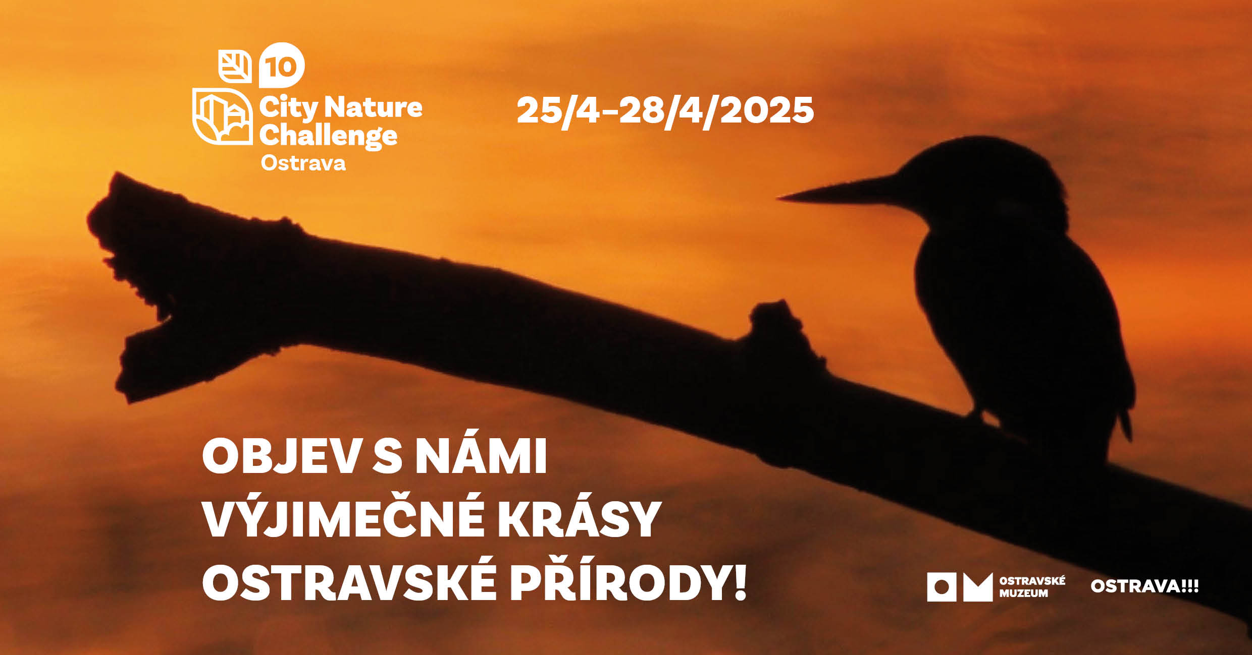 Graphic design by the Ostrava Museum and the Statutory City of Ostrava for this year's competition edition. Photo: MMO
