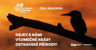 Graphic design by the Ostrava Museum and the Statutory City of Ostrava for this year's competition edition. Photo: MMO