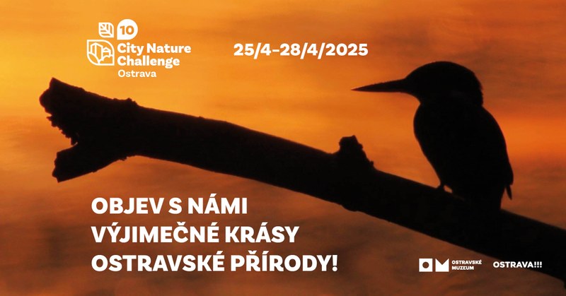 Ostrava Celebrates Success in Global City Nature Challenge Ostrava Celebrates Success in Global City Nature Challenge