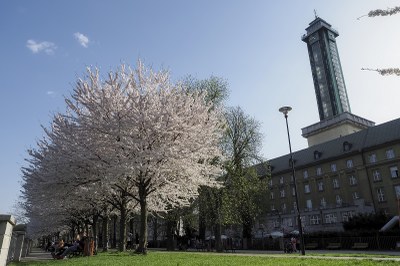 Spring in Ostrava