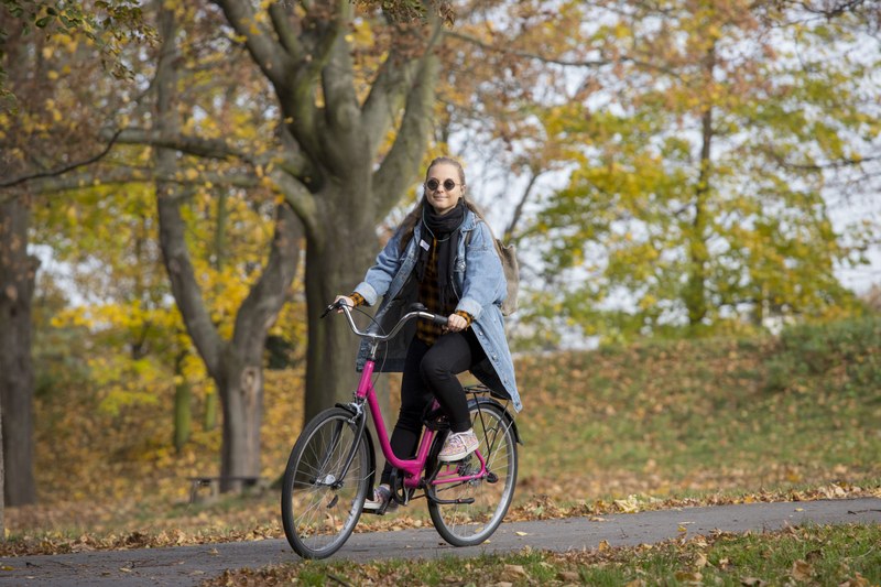 Shared bikes will be back next year Shared bikes will be back next year