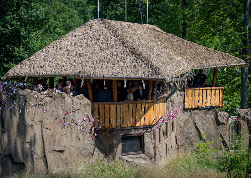 The latest project at Ostrava Zoo is now complete, with new enclosures for macaques and gibbons The latest project at Ostrava Zoo is now complete, with new enclosures for macaques and gibbons