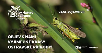 Promotional poster for the current edition of the City Nature Challenge