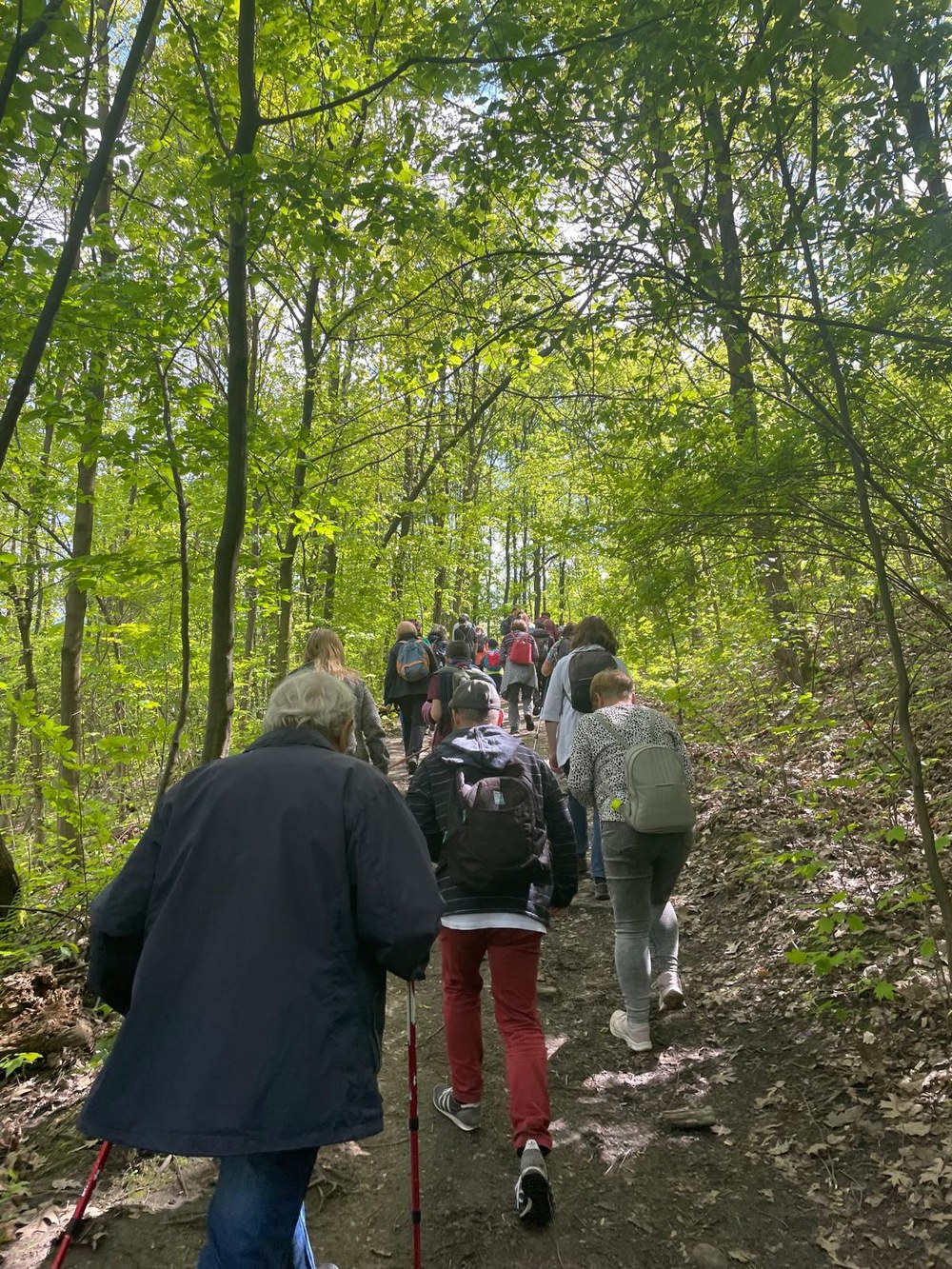 Nature walks are a pleasant bonus of the project. Photo: Ostrava Museum