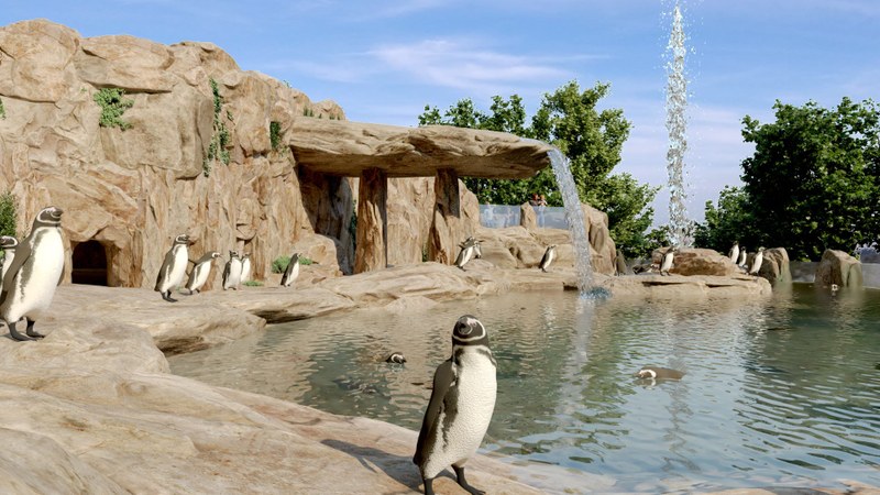 Construction of the long-awaited penguin pavilion at Ostrava Zoo is progressing according to plan. Artist’s impression of the future penguin pavilion at Ostrava Zoo and Botanical Park. Visualisation: V&V Structural Engineering Office.